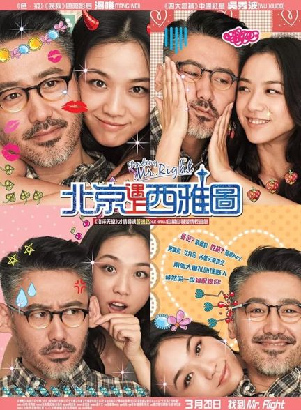 فیلم Finding Mr. Right