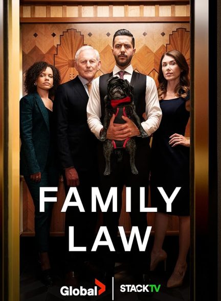 سریال  Family Law
