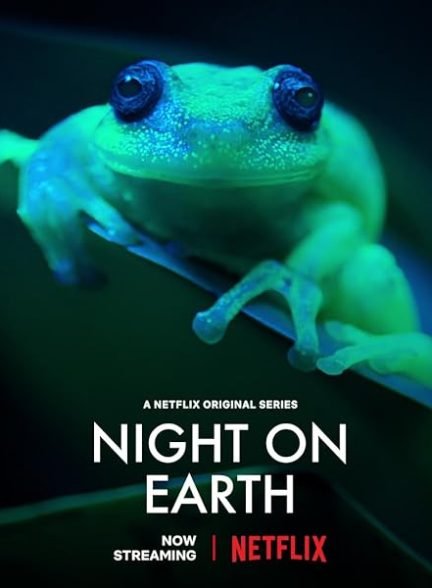 سریال  Night on Earth