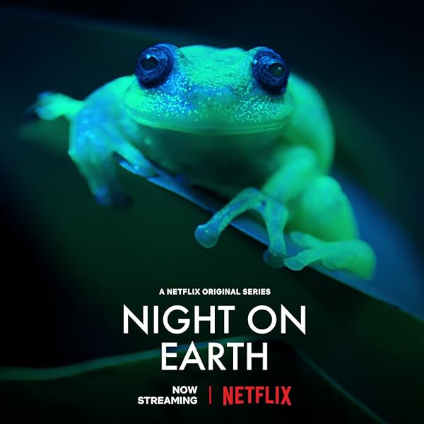 سریال  Night on Earth